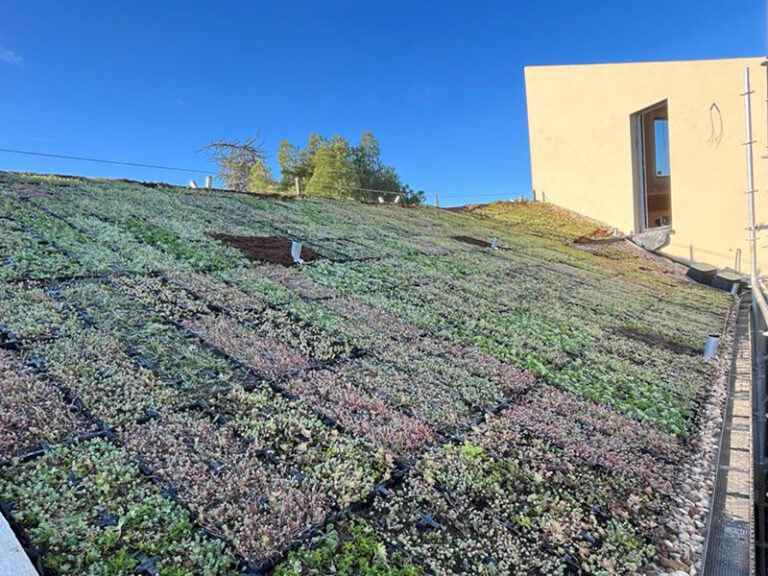 coberta-verda-Passivhaus-3