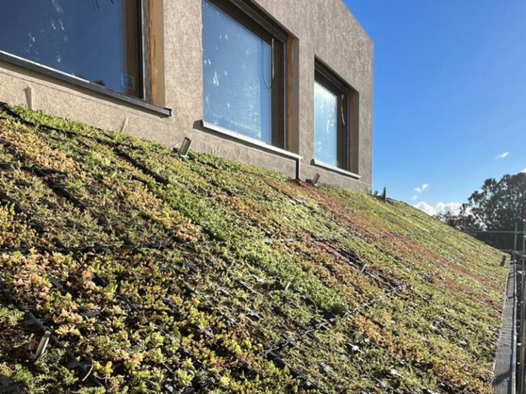 coberta-verda-Passivhaus-5