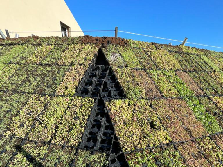 coberta-verda-Passivhaus-6