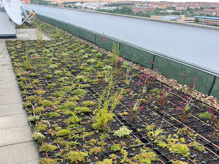 coberta-verda-arroyomolinos-1