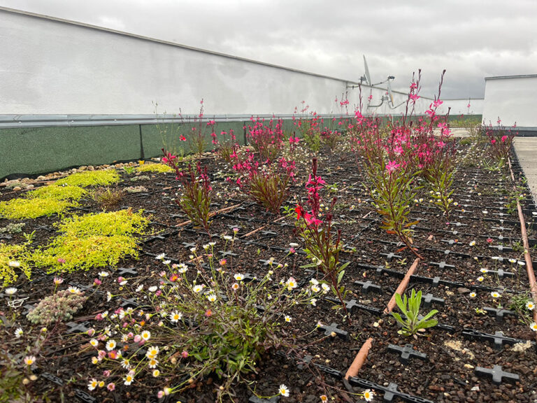 coberta-verda-arroyomolinos-3