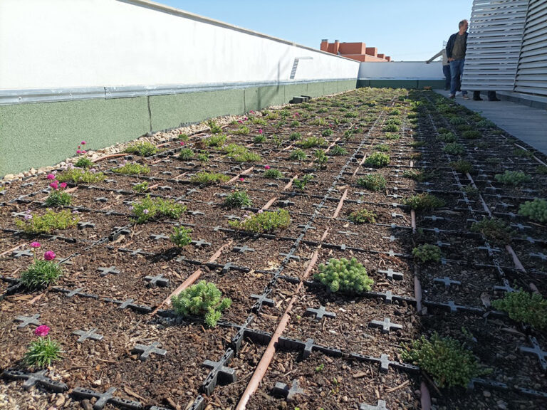 coberta-verda-arroyomolinos-4