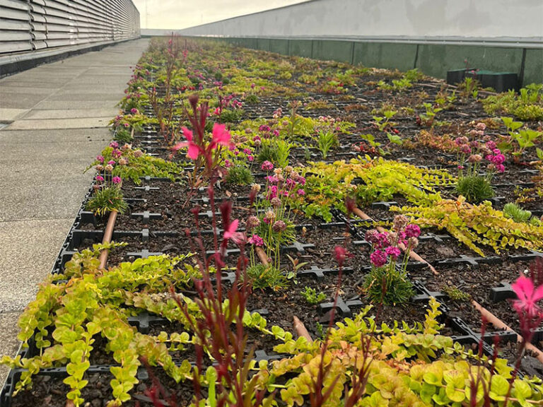 coberta-verda-arroyomolinos-5