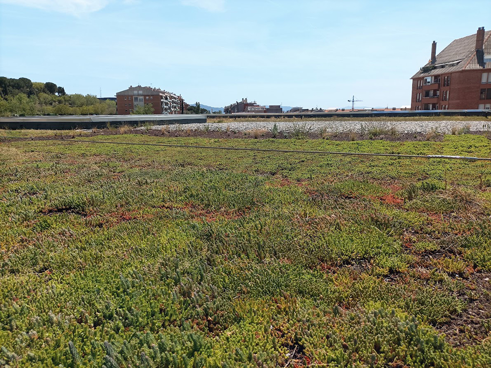 coberta-verda-biodiversa-granollers-3