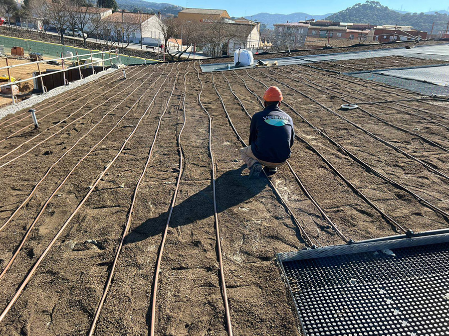 Empresa de cobertes verdes a Barcelona: com triar el proveïdor adequat?