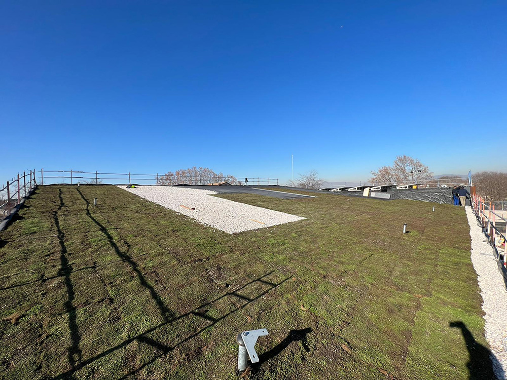 coberta-verda-martorelles-7