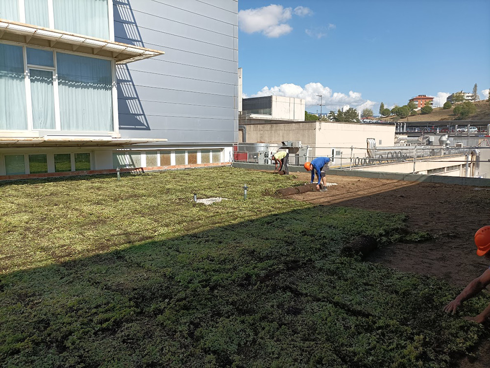instalacio-coberta-vegetal-hospital-granollers-sedum