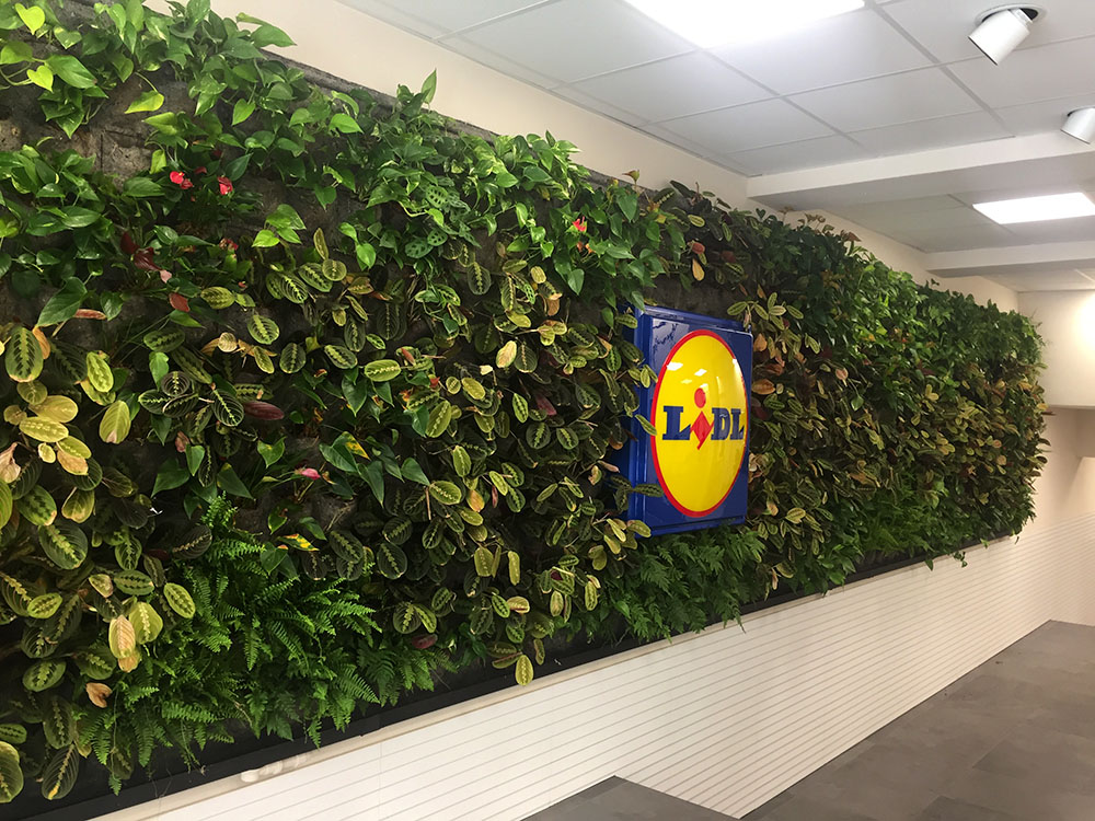 jardí-vertical-interior-lidl