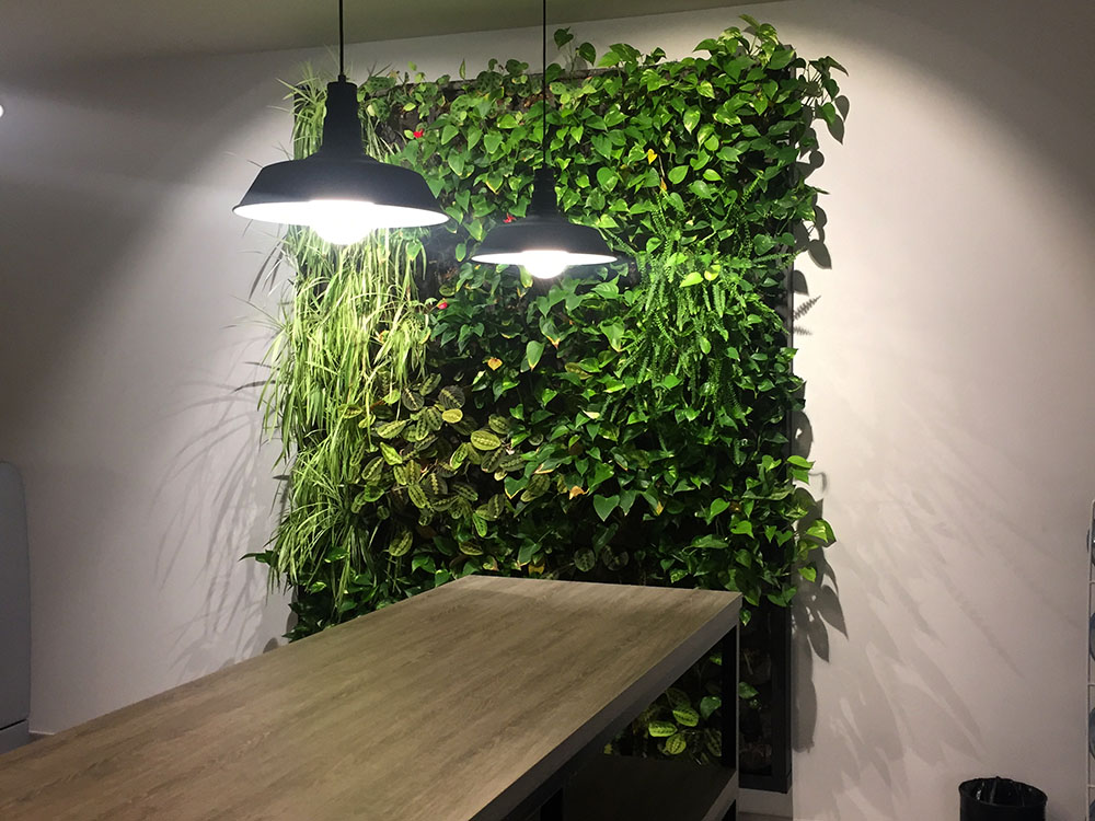 jardi-vertical-oficines-igualada-2