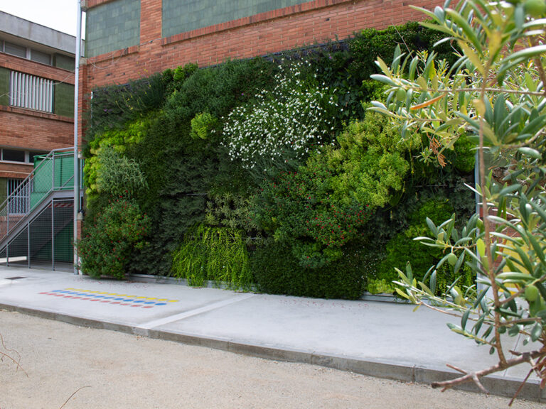 jardi-verticals-escoles-barcelona-2