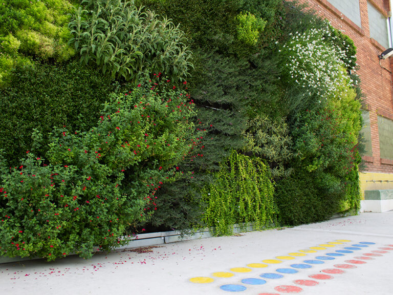 jardi-verticals-escoles-barcelona