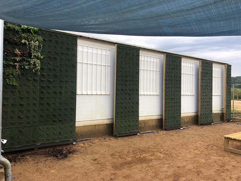 mur-verd-bescano-la-miquela