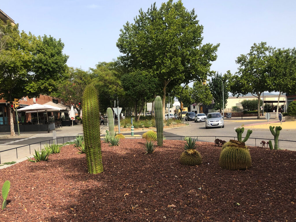 Beneficis del paisatgisme urbà en la sostenibilitat de les ciutats