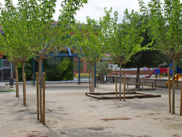 plantacio-arbres-escoles-ramon-castelltort-4