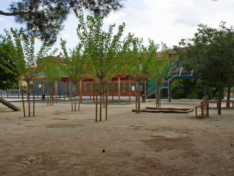 plantacio-arbres-escoles-ramon-castelltort