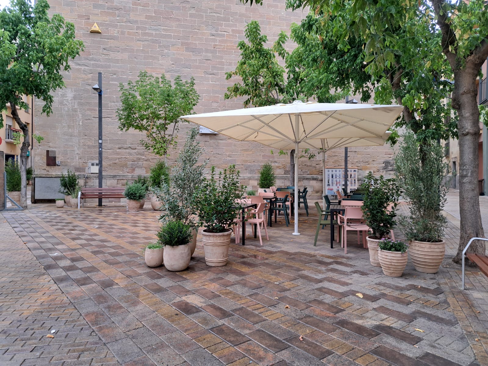 Més verd al centre de la ciutat: petits gestos, grans canvis