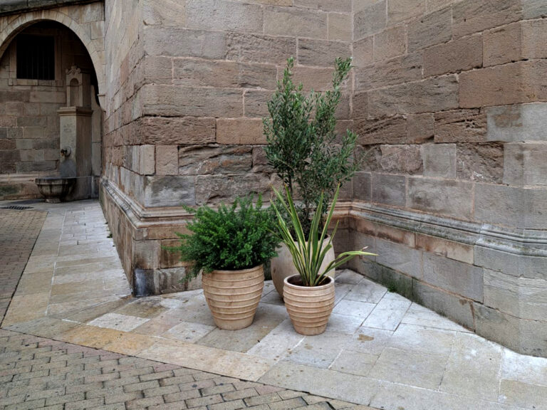 centre-igualada-2