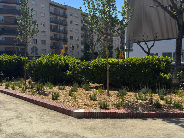 la-gaspar-igualada-7