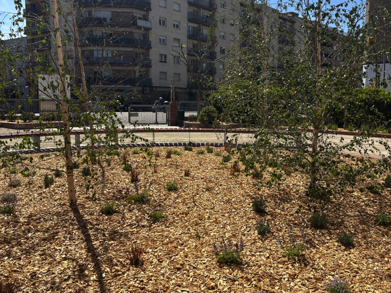 la-gaspar-igualada-8